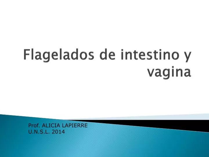 flagelados de intestino y vagina