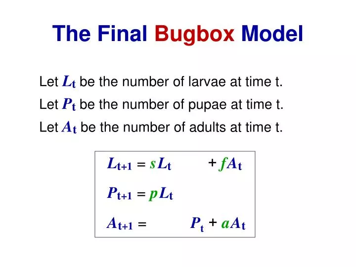 the final bugbox model