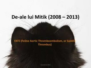 De-ale lui Mitik (2008 – 2013)