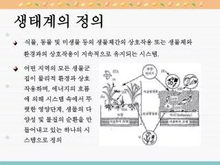 생태계의 정의