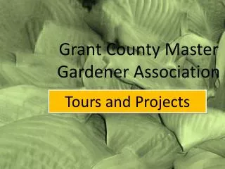 Grant County Master Gardener Association