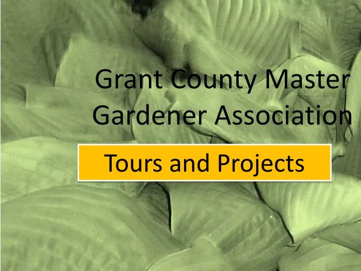 grant county master gardener association