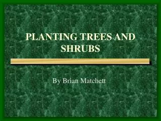 PLANTING TREES AND SHRUBS