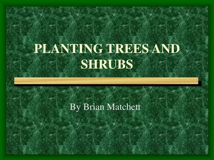 planting trees and shrubs
