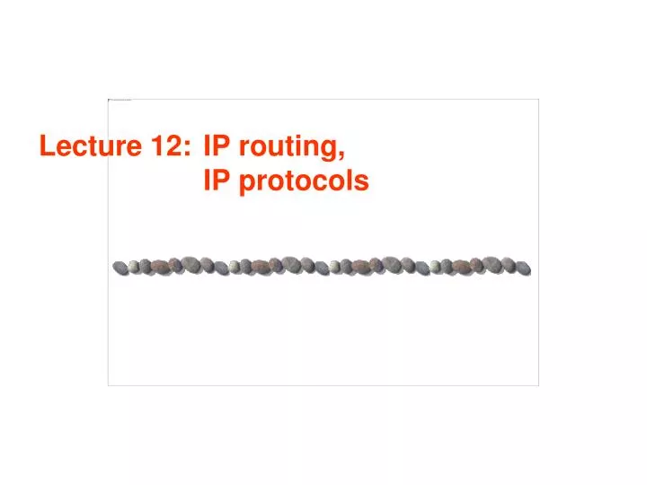 lecture 12 ip routing ip protocols