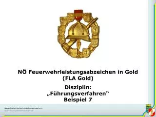 NÖ Feuerwehrleistungsabzeichen in Gold (FLA Gold)