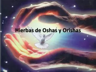 Hierbas de Oshas y Orishas