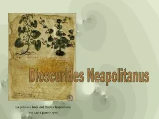 La primera hoja del Codex Napolitano הדף הראשון בכתב היד