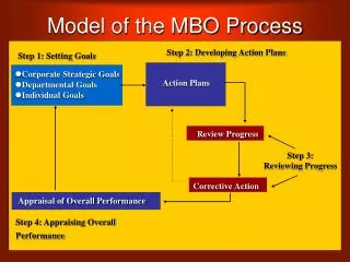 Model of the MBO Process