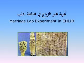 تجربة مخ بر الزواج في محافظة ادلب Marriage Lab Experiment in EDLIB