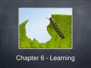 Chapter 6 - Learning