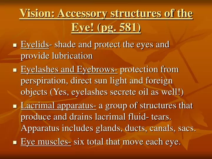 vision accessory structures of the eye pg 581