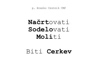 p. Branko Cestnik CMF