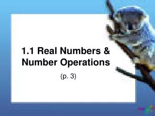 1.1 Real Numbers &amp; Number Operations