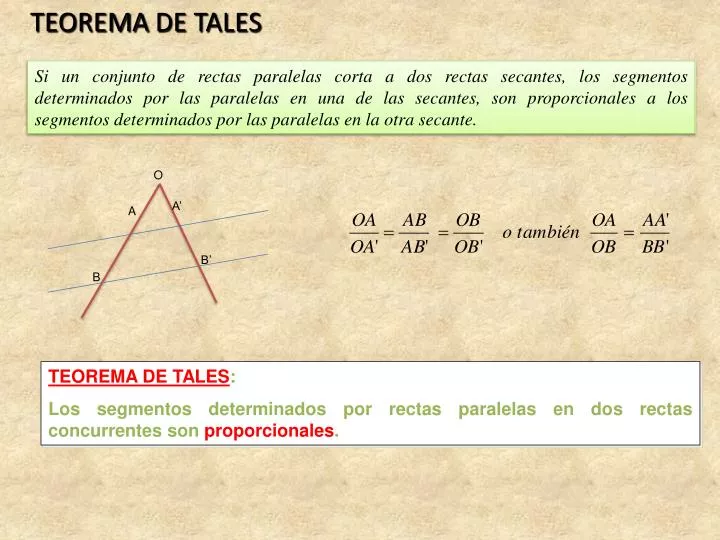 teorema de tales