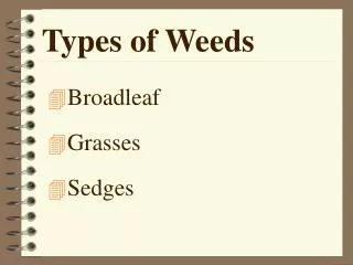 Types of Weeds