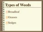 PPT - Classification Of Weeds PowerPoint Presentation, Free Download ...