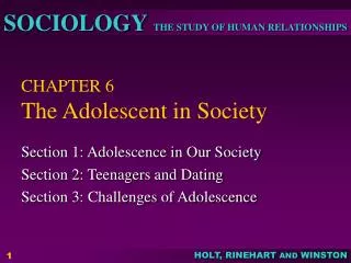 CHAPTER 6 The Adolescent in Society