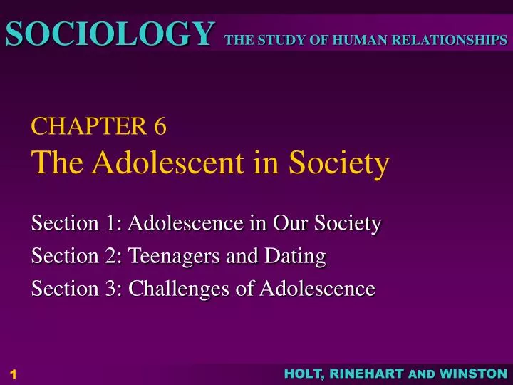 chapter 6 the adolescent in society