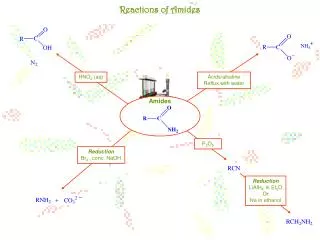 Reactions of Amides