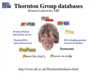 Thornton Group databases