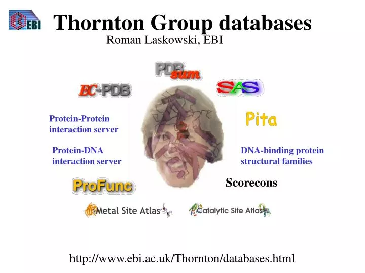 thornton group databases