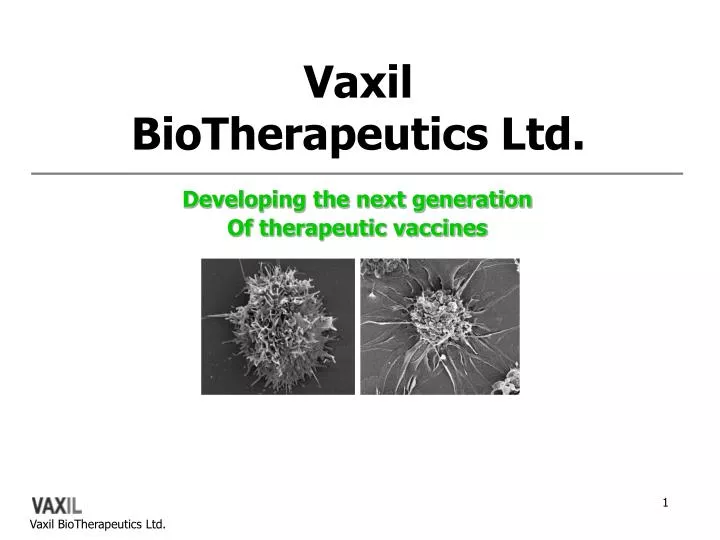 vaxil biotherapeutics ltd