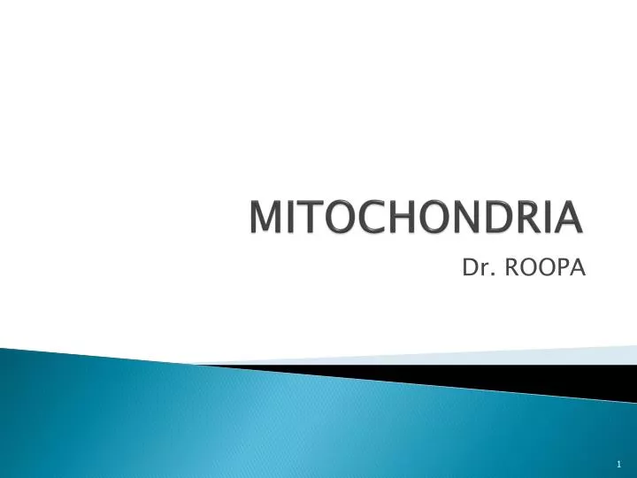 mitochondria