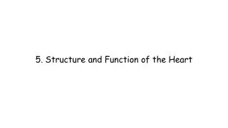 5. Structure and Function of the Heart