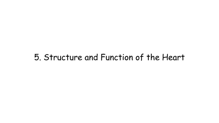 5 structure and function of the heart