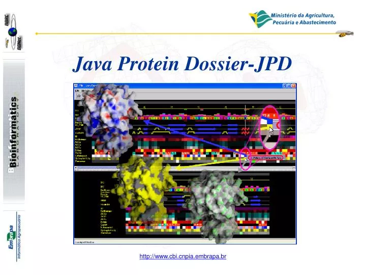 java protein dossier jpd