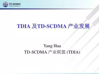 TDIA 及 TD-SCDMA 产业发展