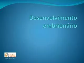 desenvolvimento embrion rio