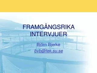 FRAMGÅNGSRIKA INTERVJUER