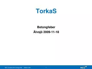TorkaS Betongfeber Älvsjö 2009-11-18