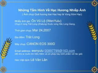 Những Tấm Hình Về Hạc Hương Nhiếp Ảnh ( Ảnh chụp Quê hương lòai Hạc hay là Vùng Xóm Hạc)