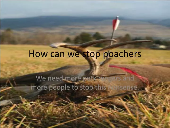 how can we stop poachers