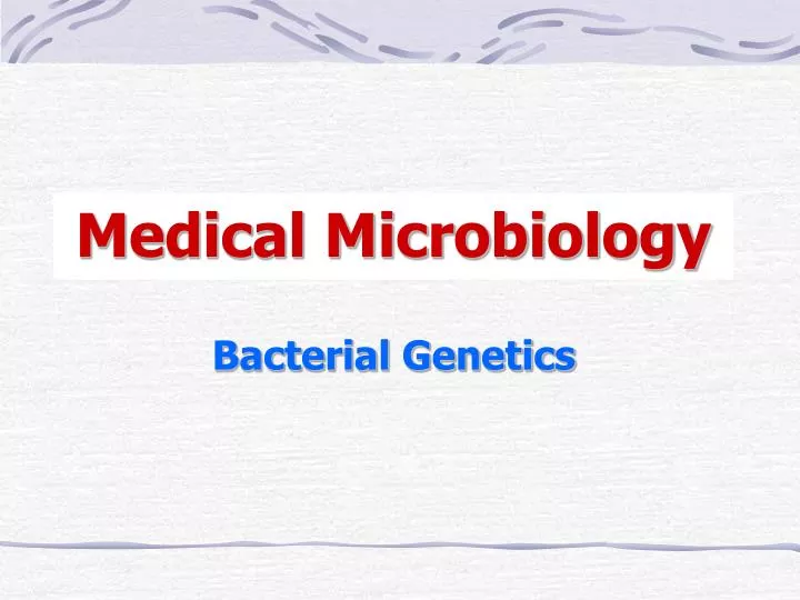 bacterial genetics