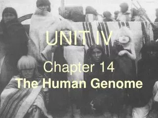 UNIT IV Chapter 14 The Human Genome