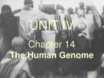 UNIT IV Chapter 14 The Human Genome - slide 1