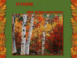efter r