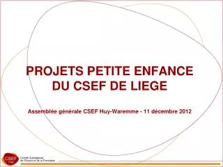 PROJETS PETITE ENFANCE DU CSEF DE LIEGE Assemblée générale CSEF Huy-Waremme - 11 décembre 2012