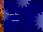 Understanding Sensation: The Basics of Perception and Sensory Processing - slide 1