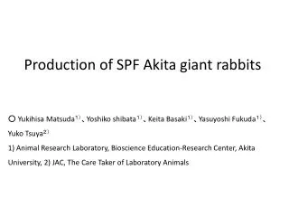 Production of SPF Akita giant rabbits