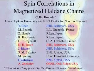 Spin Correlations in Magnetized Haldane Chains