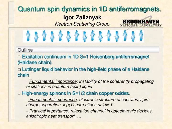 quantum spin dynamics in 1d antiferromagnets