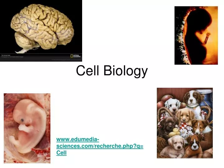 cell biology