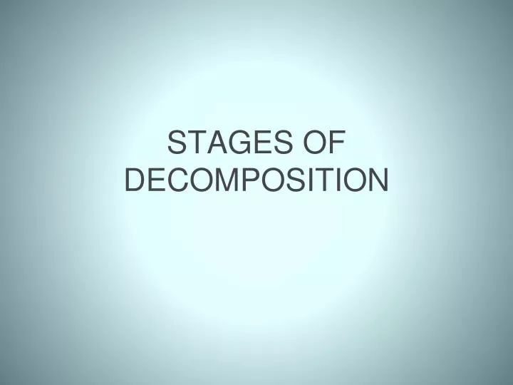 stages of decomposition