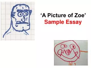 ‘A Picture of Zoe’ Sample Essay