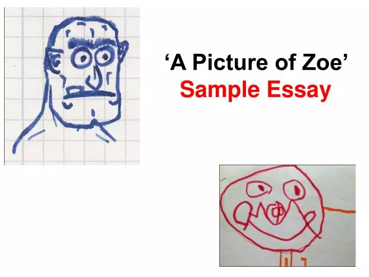 a picture of zoe sample essay